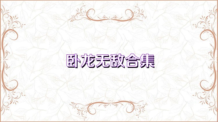 卧龙无敌合集