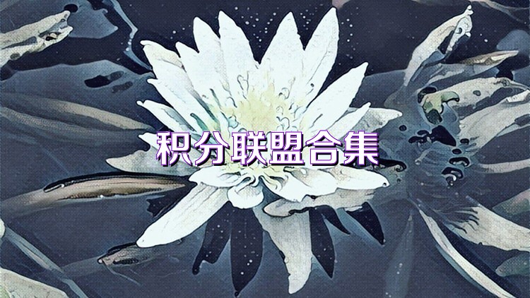 积分联盟合集