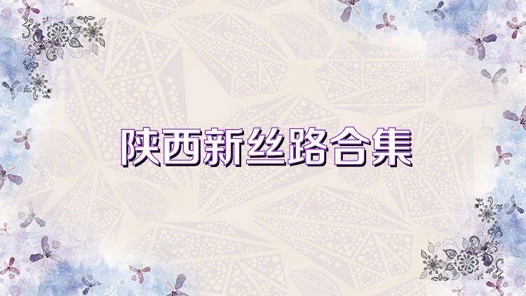 陕西新丝路合集