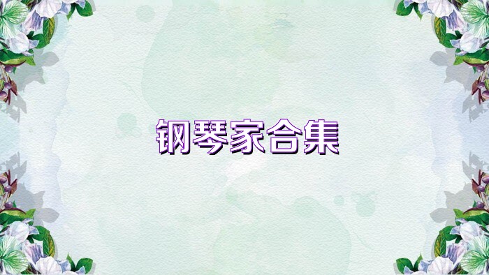 钢琴家合集
