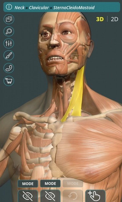 人体3D立体解剖（Visual Anatomy 3D - Human）1
