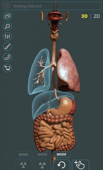 人体3D立体解剖（Visual Anatomy 3D - Human）2