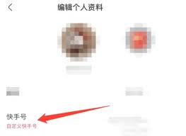 快手极速版如何找到自己的账号