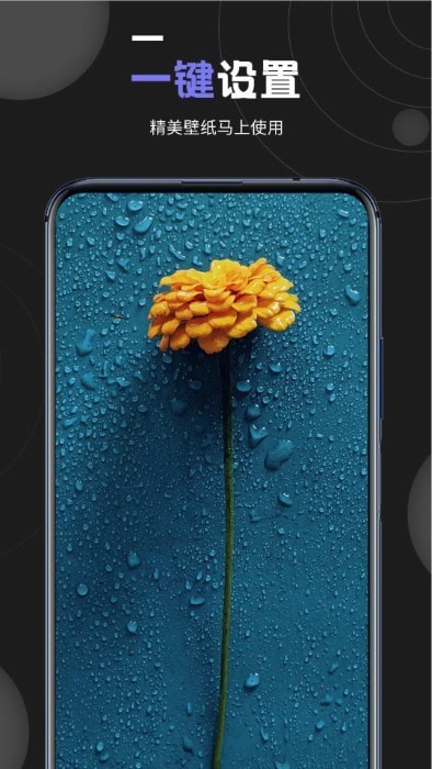 我的壁纸1