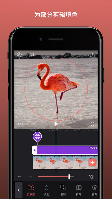 EnlightVideoleap2