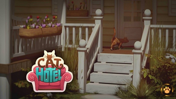 CatHotel2
