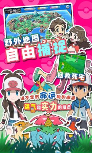 口袋喵喵游戏1