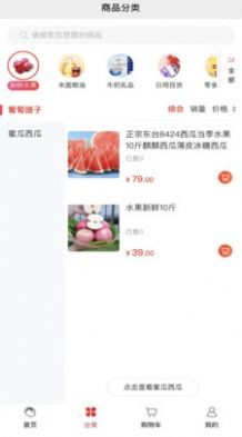 随团最新版2