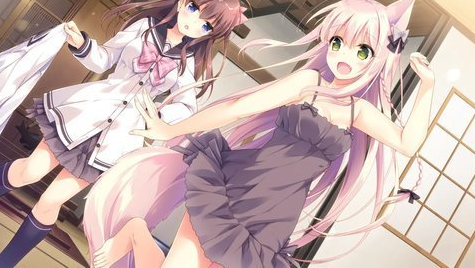 兽娘育成方案1