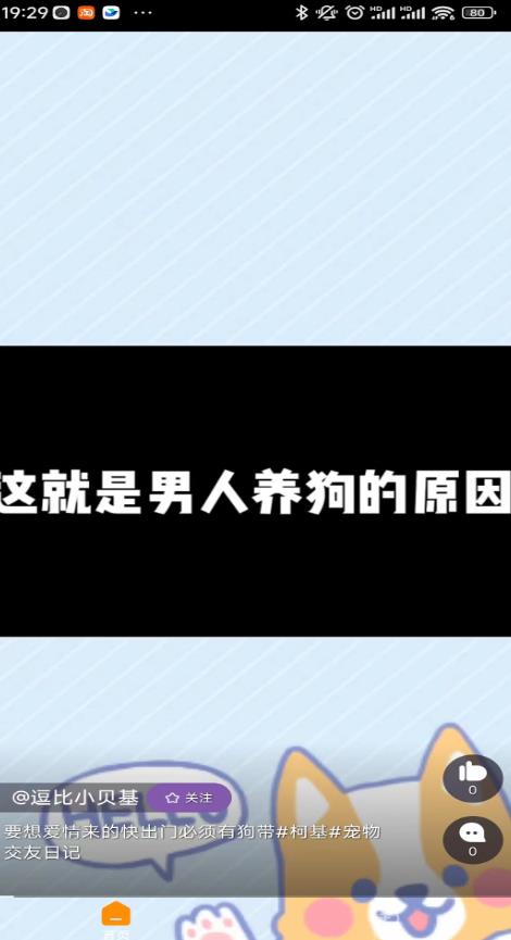 田鸡短视频4