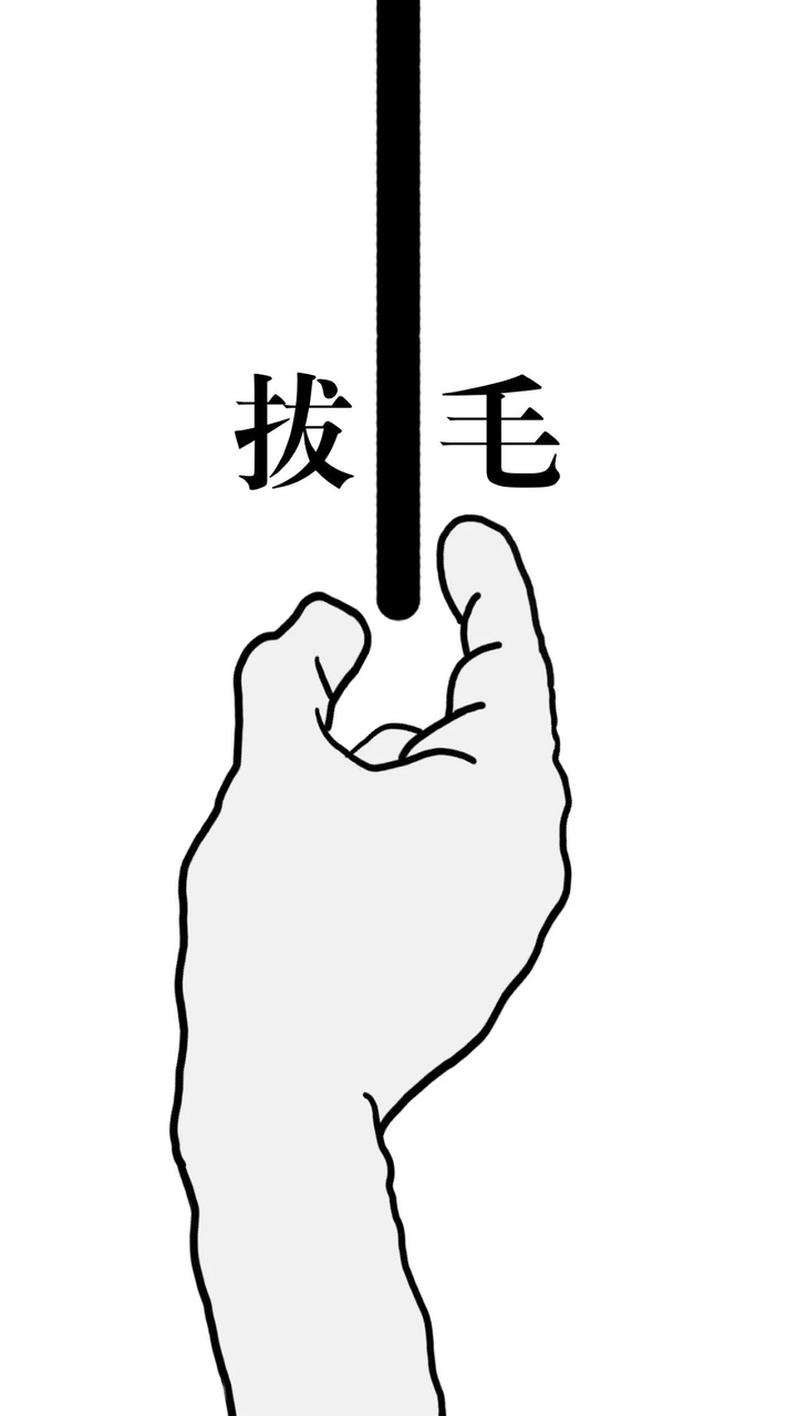 拔条毛1