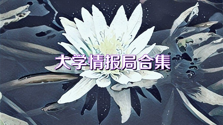 大学情报局合集
