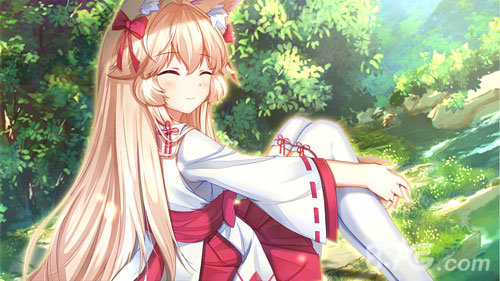 Fox Hime Zero4