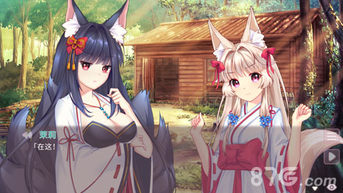 Fox Hime Zero5