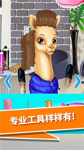 动物园美发沙龙3