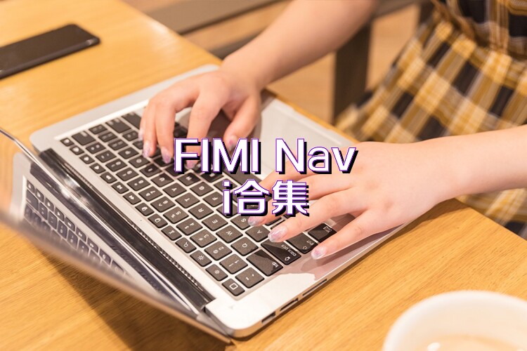 FIMI Navi合集