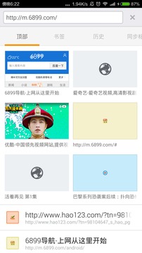 6899浏览器2