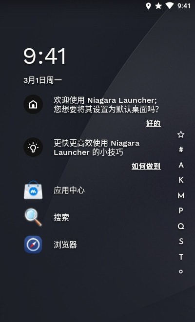 Niagara Launcher pro4