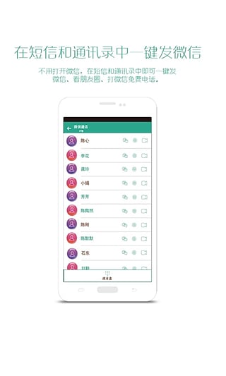 军鸽1