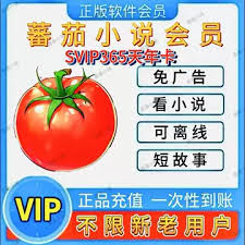 番茄小说听书技巧：轻松跳过广告，享受纯净阅读体