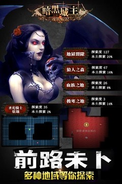 暗黑城主单机版1