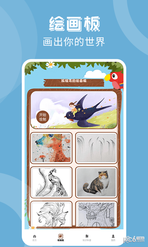 孤独的鸟治愈你3
