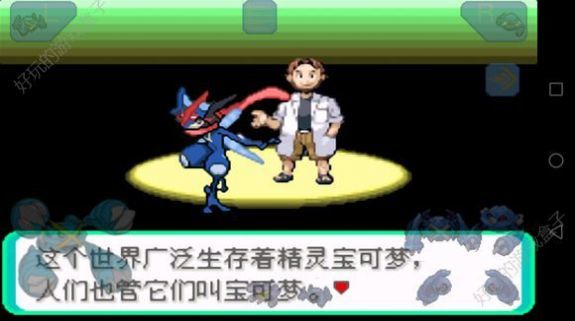 口袋妖怪刽曜之影2