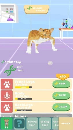 动物进化实验1