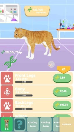 动物进化实验3