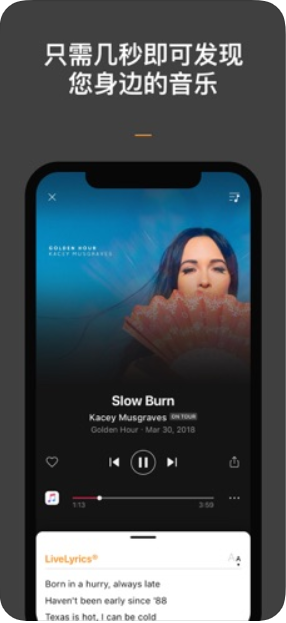 SoundHound1
