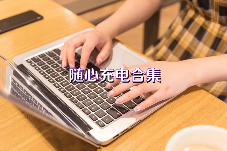 随心充电合集