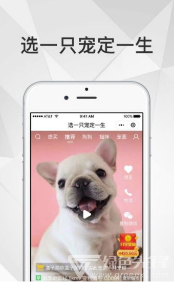 奶宠宠物短视频(可爱宠物有趣视频)V1.0.1 安卓正式版2