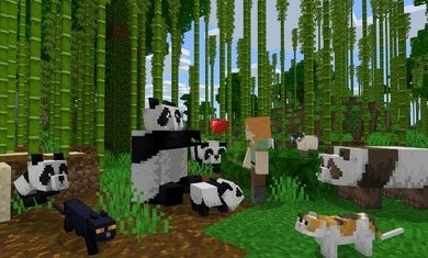 我的世界基岩版1.17.10.202