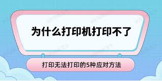 打印机不打印怎么解决