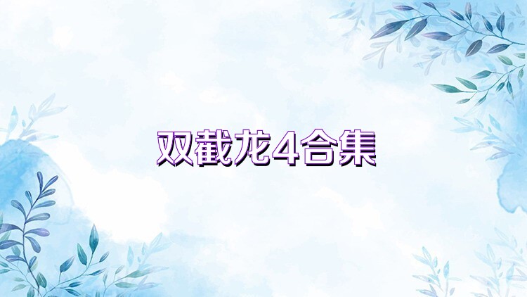 双截龙4合集