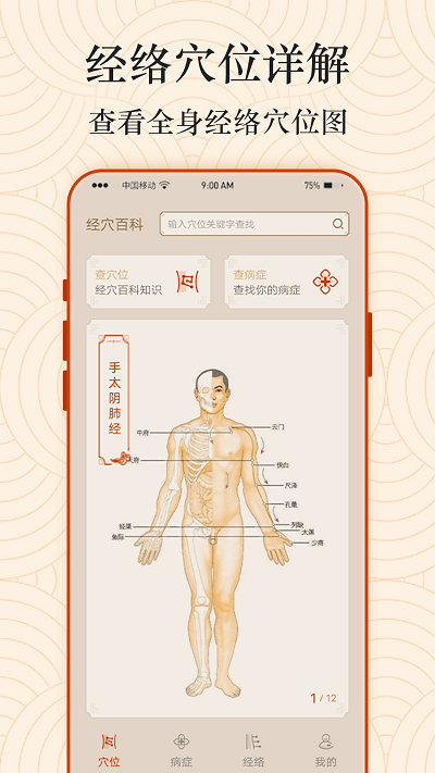 ai经络穴位图1