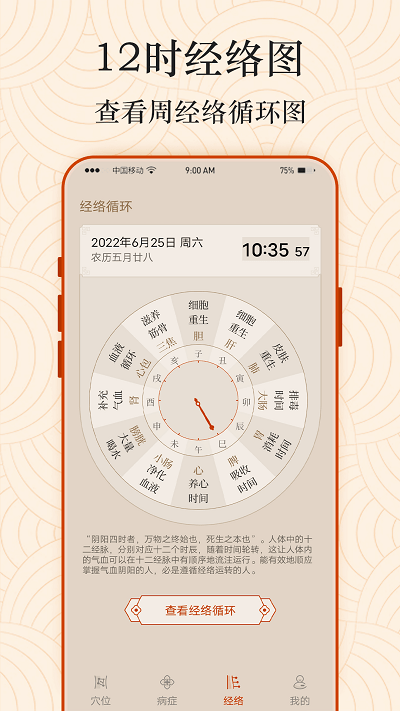 ai经络穴位图4