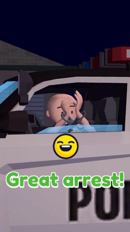 Traffic Cop 3D2