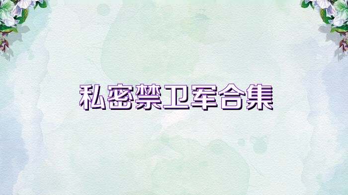 私密禁卫军合集