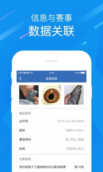 中国信鸽协会3