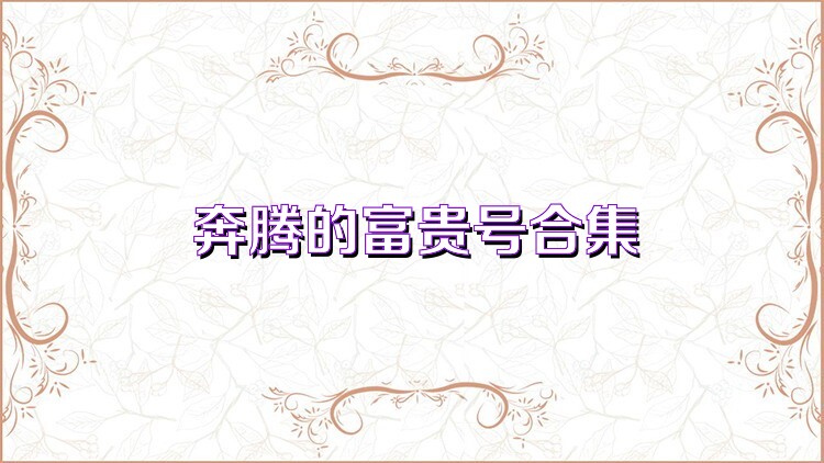 奔腾的富贵号合集