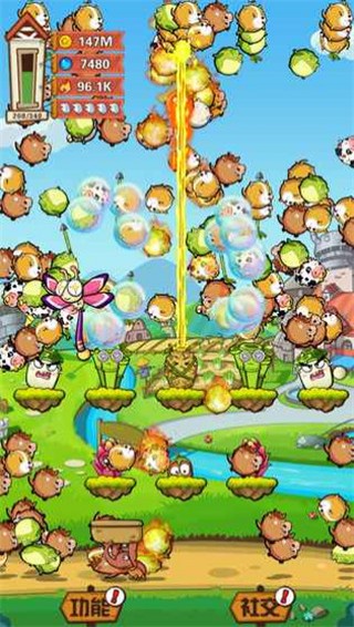 Animal Rain1