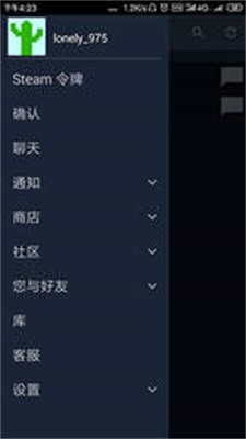 steam3.01
