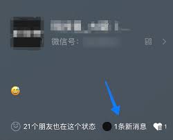 微信8.0背景设置是否仅自己可见
