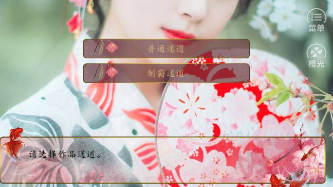 锦衣之下帝女韶华2