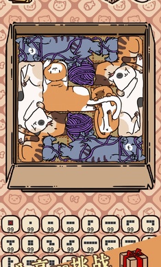 盒子猫2