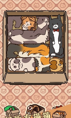 盒子猫3