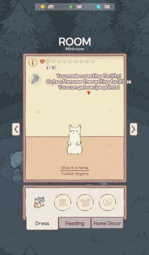 猫咪很可爱1