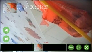 天目图传2