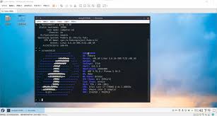 vmware能否在Linux系统中运行
